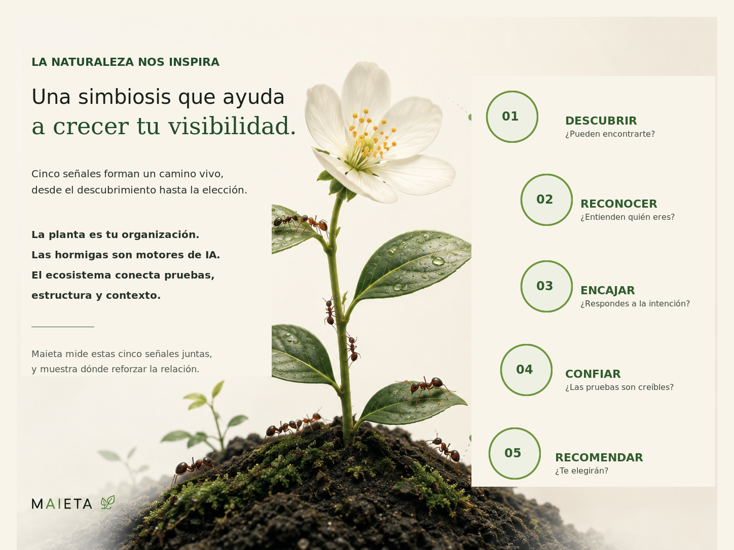 Planta con flor y hormigas que ilustra la simbiosis entre organizaciones, motores de IA, pruebas y contexto.
