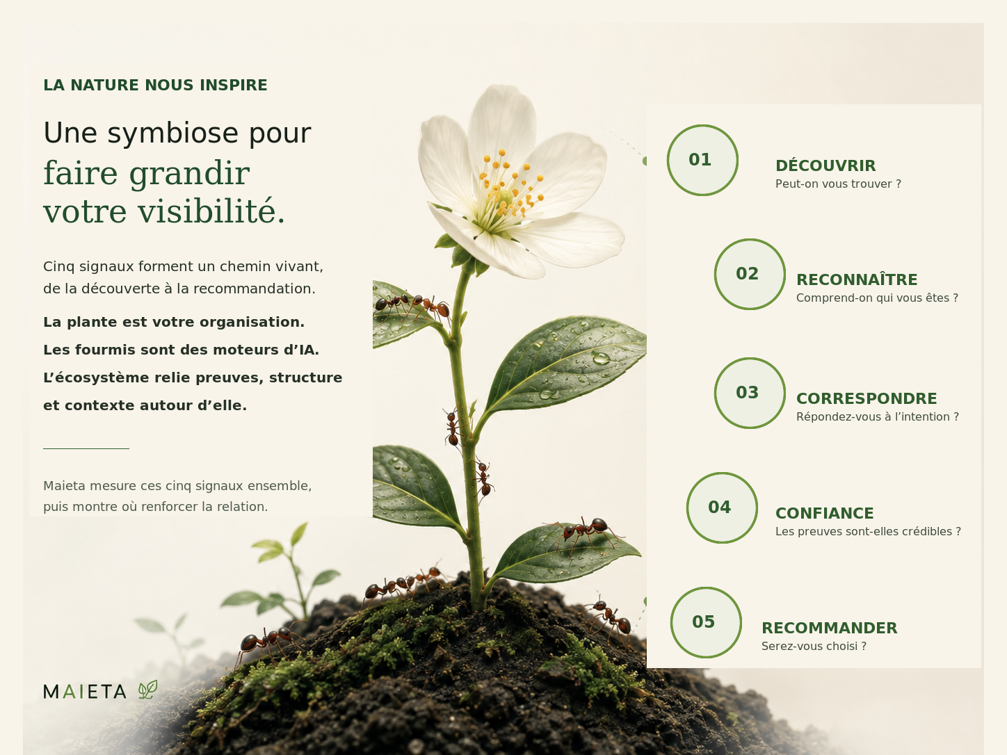 Plante fleurie avec des fourmis illustrant la symbiose entre les organisations, les moteurs d’IA, les preuves et le contexte.